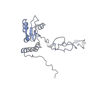 3883_6qzp_LQ_v1-0
High-resolution cryo-EM structure of the human 80S ribosome