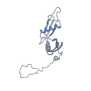 3883_6qzp_LS_v1-0
High-resolution cryo-EM structure of the human 80S ribosome