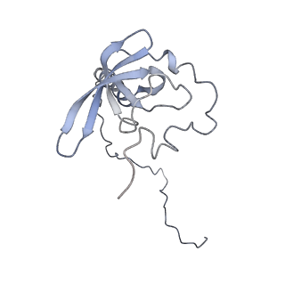 3883_6qzp_LT_v1-0
High-resolution cryo-EM structure of the human 80S ribosome