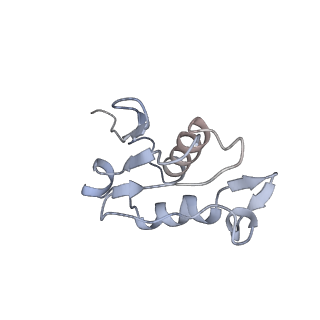 3883_6qzp_LU_v1-0
High-resolution cryo-EM structure of the human 80S ribosome