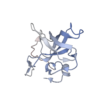 3883_6qzp_LV_v1-0
High-resolution cryo-EM structure of the human 80S ribosome
