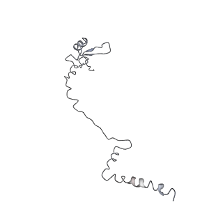 3883_6qzp_LW_v1-0
High-resolution cryo-EM structure of the human 80S ribosome