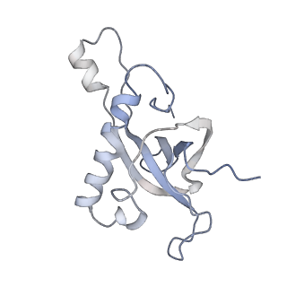 3883_6qzp_LZ_v1-0
High-resolution cryo-EM structure of the human 80S ribosome