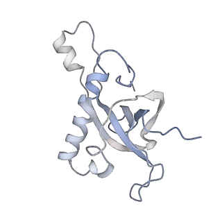 3883_6qzp_LZ_v2-1
High-resolution cryo-EM structure of the human 80S ribosome