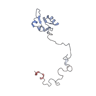 3883_6qzp_La_v1-0
High-resolution cryo-EM structure of the human 80S ribosome