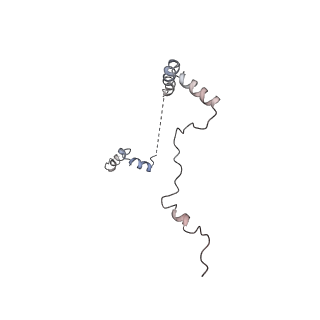 3883_6qzp_Lb_v1-0
High-resolution cryo-EM structure of the human 80S ribosome
