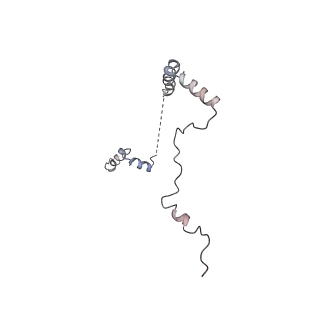 3883_6qzp_Lb_v2-1
High-resolution cryo-EM structure of the human 80S ribosome