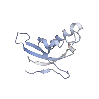 3883_6qzp_Ld_v1-0
High-resolution cryo-EM structure of the human 80S ribosome