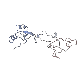 3883_6qzp_Le_v1-0
High-resolution cryo-EM structure of the human 80S ribosome