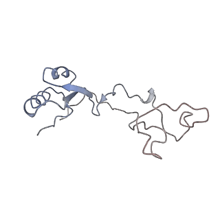 3883_6qzp_Le_v3-0
High-resolution cryo-EM structure of the human 80S ribosome
