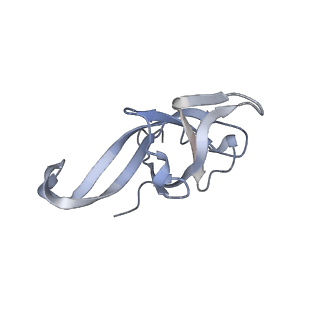 3883_6qzp_Lf_v1-0
High-resolution cryo-EM structure of the human 80S ribosome