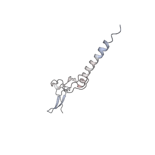 3883_6qzp_Lg_v1-0
High-resolution cryo-EM structure of the human 80S ribosome