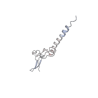3883_6qzp_Lg_v2-1
High-resolution cryo-EM structure of the human 80S ribosome
