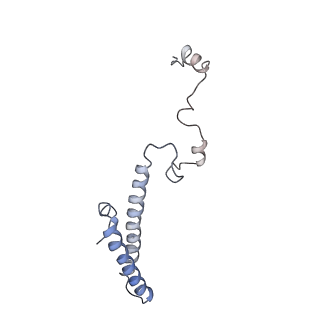 3883_6qzp_Lh_v1-0
High-resolution cryo-EM structure of the human 80S ribosome
