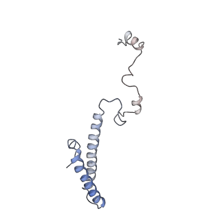 3883_6qzp_Lh_v3-0
High-resolution cryo-EM structure of the human 80S ribosome