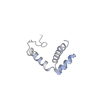 3883_6qzp_Li_v1-0
High-resolution cryo-EM structure of the human 80S ribosome
