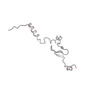 3883_6qzp_Lj_v1-0
High-resolution cryo-EM structure of the human 80S ribosome
