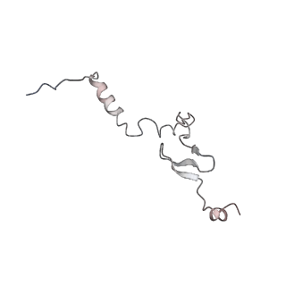 3883_6qzp_Lj_v2-1
High-resolution cryo-EM structure of the human 80S ribosome