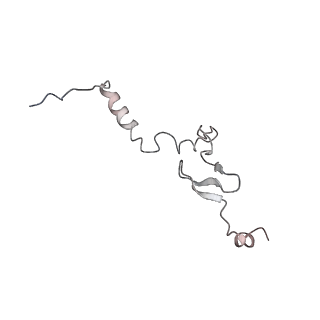 3883_6qzp_Lj_v3-0
High-resolution cryo-EM structure of the human 80S ribosome