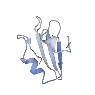 3883_6qzp_Lk_v1-0
High-resolution cryo-EM structure of the human 80S ribosome