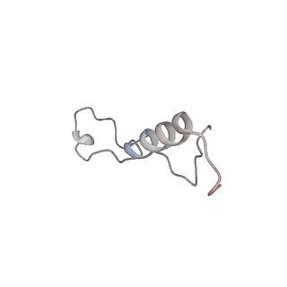 3883_6qzp_Ll_v1-0
High-resolution cryo-EM structure of the human 80S ribosome