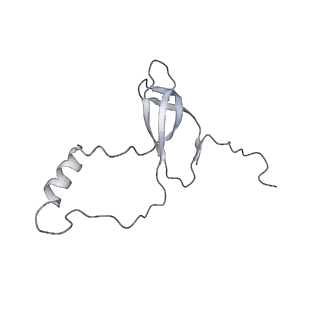 3883_6qzp_Lo_v1-0
High-resolution cryo-EM structure of the human 80S ribosome