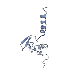 3883_6qzp_Lp_v1-0
High-resolution cryo-EM structure of the human 80S ribosome