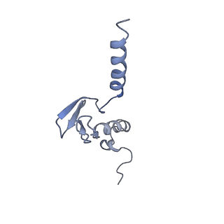 3883_6qzp_Lp_v3-0
High-resolution cryo-EM structure of the human 80S ribosome