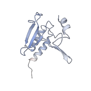 3883_6qzp_Lr_v1-0
High-resolution cryo-EM structure of the human 80S ribosome