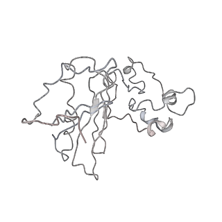 3883_6qzp_Lz_v1-0
High-resolution cryo-EM structure of the human 80S ribosome