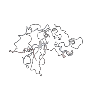 3883_6qzp_Lz_v2-1
High-resolution cryo-EM structure of the human 80S ribosome