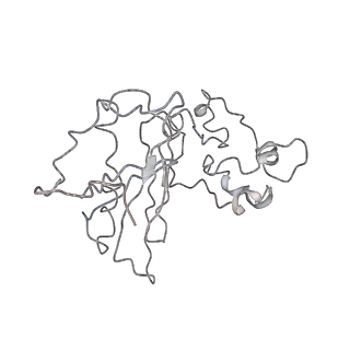 3883_6qzp_Lz_v3-0
High-resolution cryo-EM structure of the human 80S ribosome
