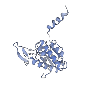 3883_6qzp_SA_v1-0
High-resolution cryo-EM structure of the human 80S ribosome