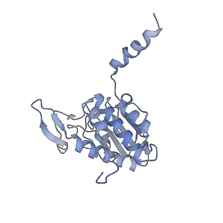 3883_6qzp_SA_v2-1
High-resolution cryo-EM structure of the human 80S ribosome