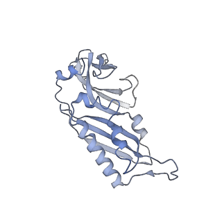 3883_6qzp_SB_v1-0
High-resolution cryo-EM structure of the human 80S ribosome