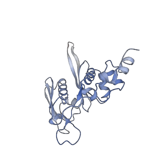 3883_6qzp_SC_v1-0
High-resolution cryo-EM structure of the human 80S ribosome