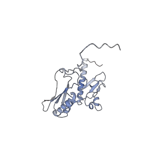 3883_6qzp_SD_v1-0
High-resolution cryo-EM structure of the human 80S ribosome