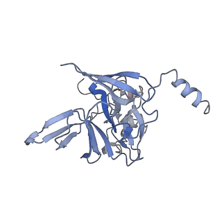 3883_6qzp_SE_v1-0
High-resolution cryo-EM structure of the human 80S ribosome