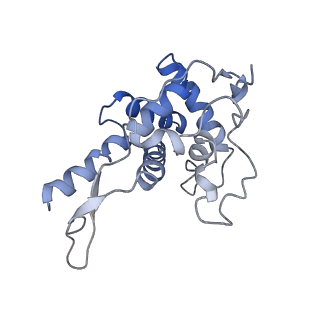 3883_6qzp_SF_v1-0
High-resolution cryo-EM structure of the human 80S ribosome