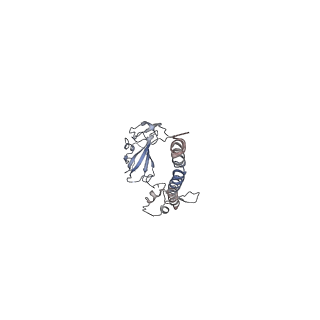 3883_6qzp_SG_v1-0
High-resolution cryo-EM structure of the human 80S ribosome