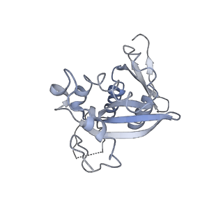 3883_6qzp_SH_v1-0
High-resolution cryo-EM structure of the human 80S ribosome