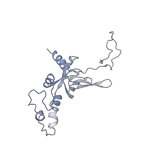 3883_6qzp_SI_v1-0
High-resolution cryo-EM structure of the human 80S ribosome