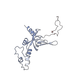 3883_6qzp_SI_v3-0
High-resolution cryo-EM structure of the human 80S ribosome