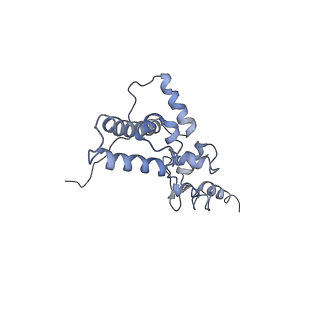3883_6qzp_SJ_v1-0
High-resolution cryo-EM structure of the human 80S ribosome