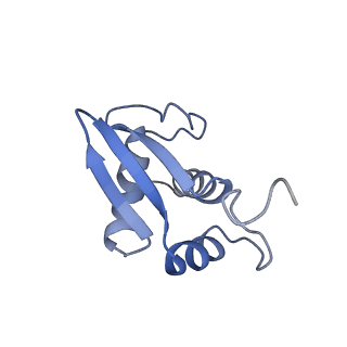 3883_6qzp_SK_v1-0
High-resolution cryo-EM structure of the human 80S ribosome