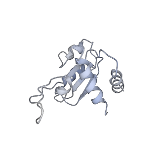 3883_6qzp_SM_v1-0
High-resolution cryo-EM structure of the human 80S ribosome