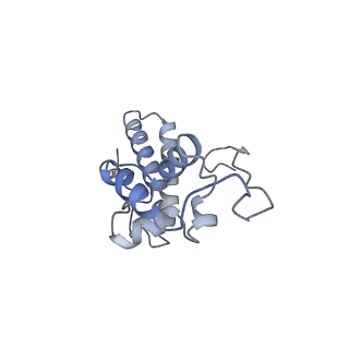 3883_6qzp_SN_v1-0
High-resolution cryo-EM structure of the human 80S ribosome