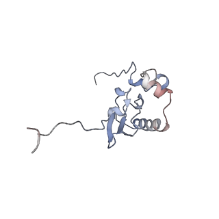 3883_6qzp_SP_v1-0
High-resolution cryo-EM structure of the human 80S ribosome