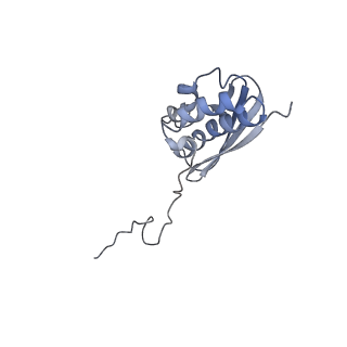 3883_6qzp_SQ_v1-0
High-resolution cryo-EM structure of the human 80S ribosome