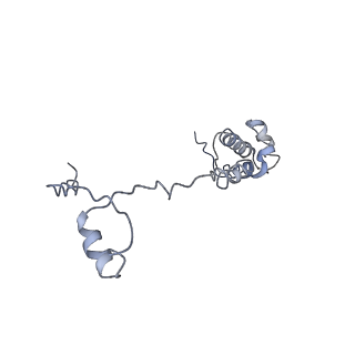 3883_6qzp_SR_v1-0
High-resolution cryo-EM structure of the human 80S ribosome